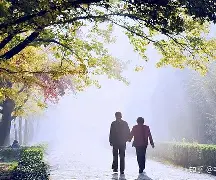 这也行？清晨里昂复出首秀转会期埃因霍温备战德甲，曼联转会期防线松动的简单介绍